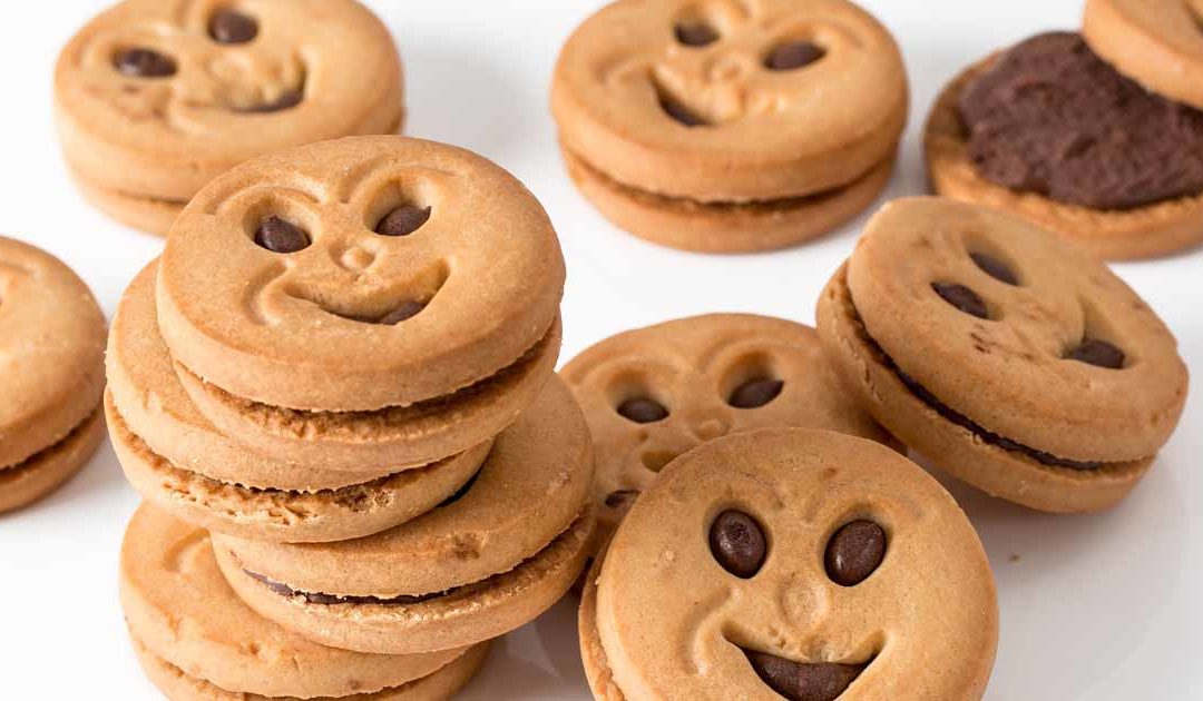 ​Cookies : la CNIL devrait officialiser la fin du « soft opt’in » début juillet